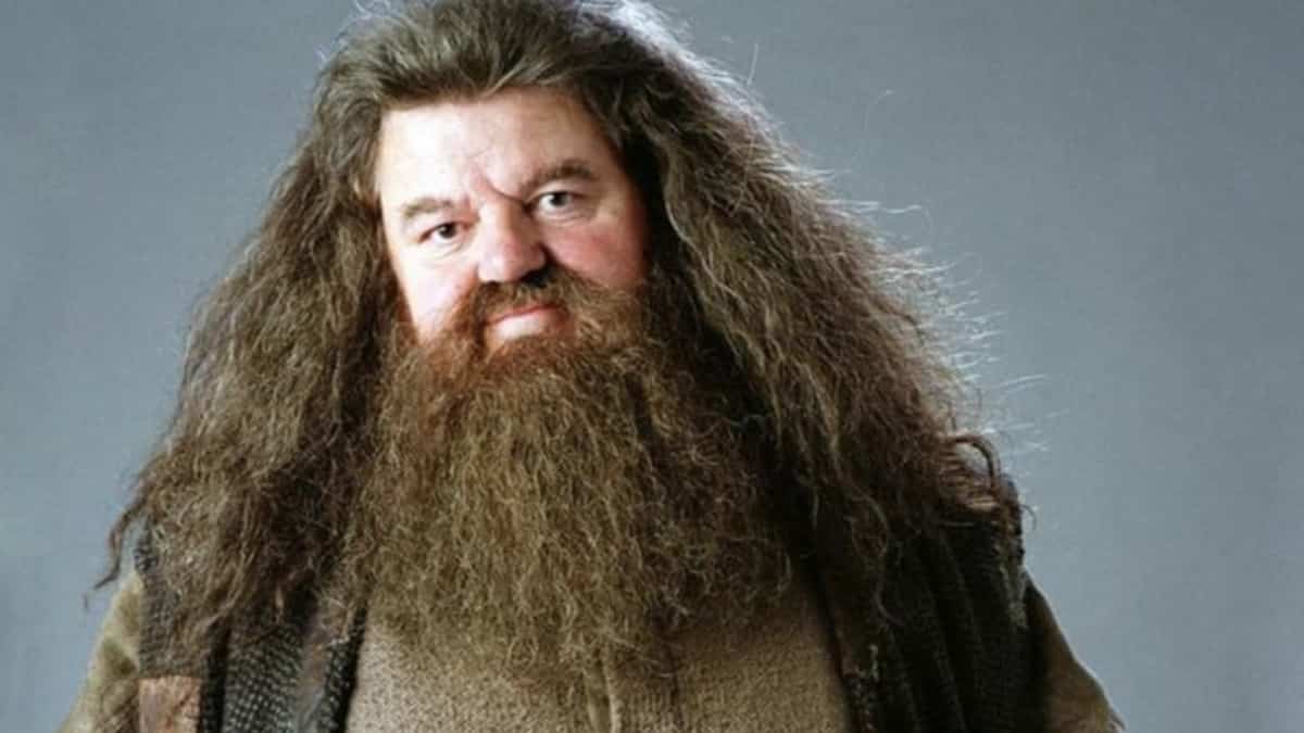 ‘Harry Potter’ actor Robbie Coltrane of Hagrid has died ‘Harry Potter’ actor Robbie Coltrane of Hagrid has died