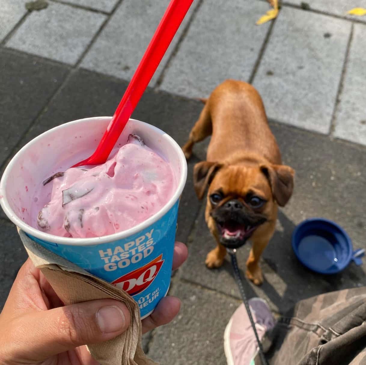 Ce mythique Dairy Queen de Montréal est ouvert
