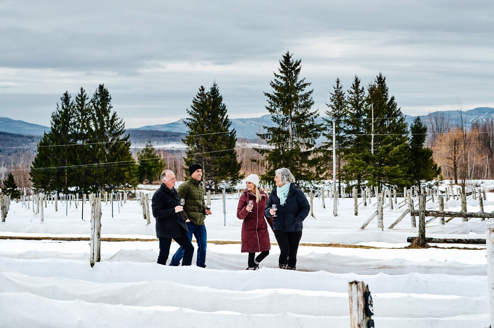 Une route des vins de Noël en décembre