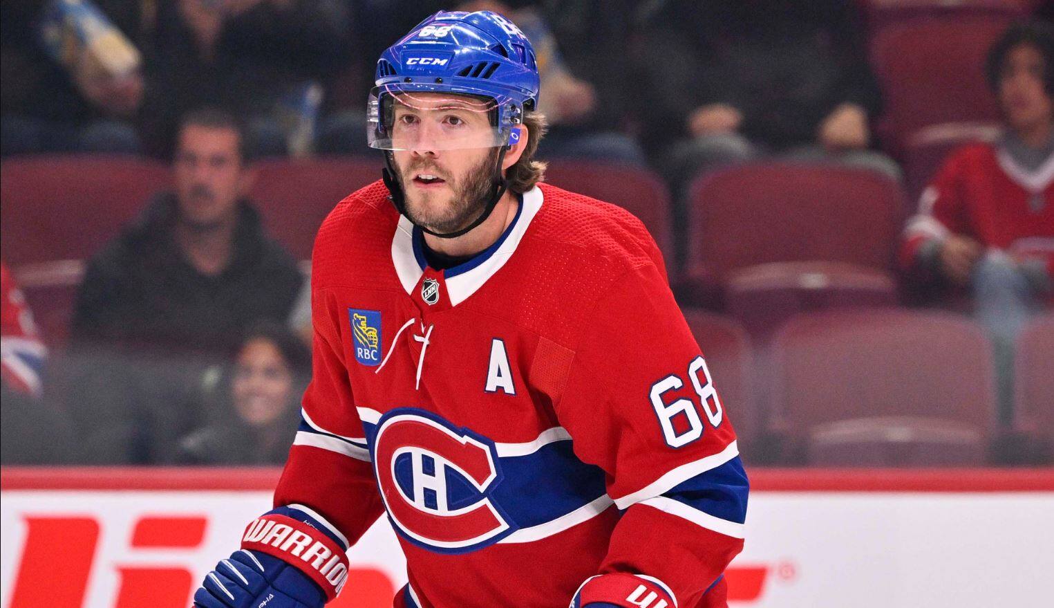 Mike Hoffman : &laquo;un sac &agrave; probl&egrave;mes&raquo;