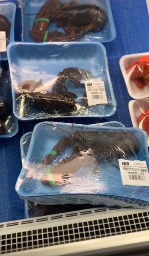 Des homards emballés vivants et font réagir