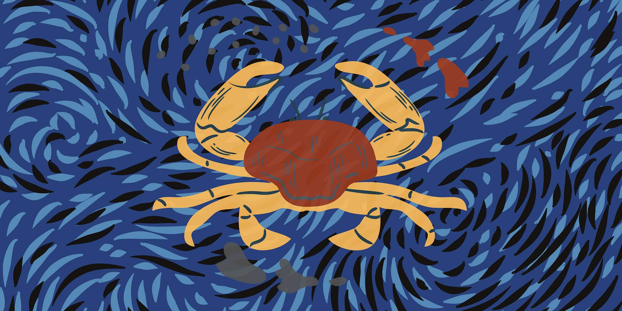 Horoscope 2026 du Cancer