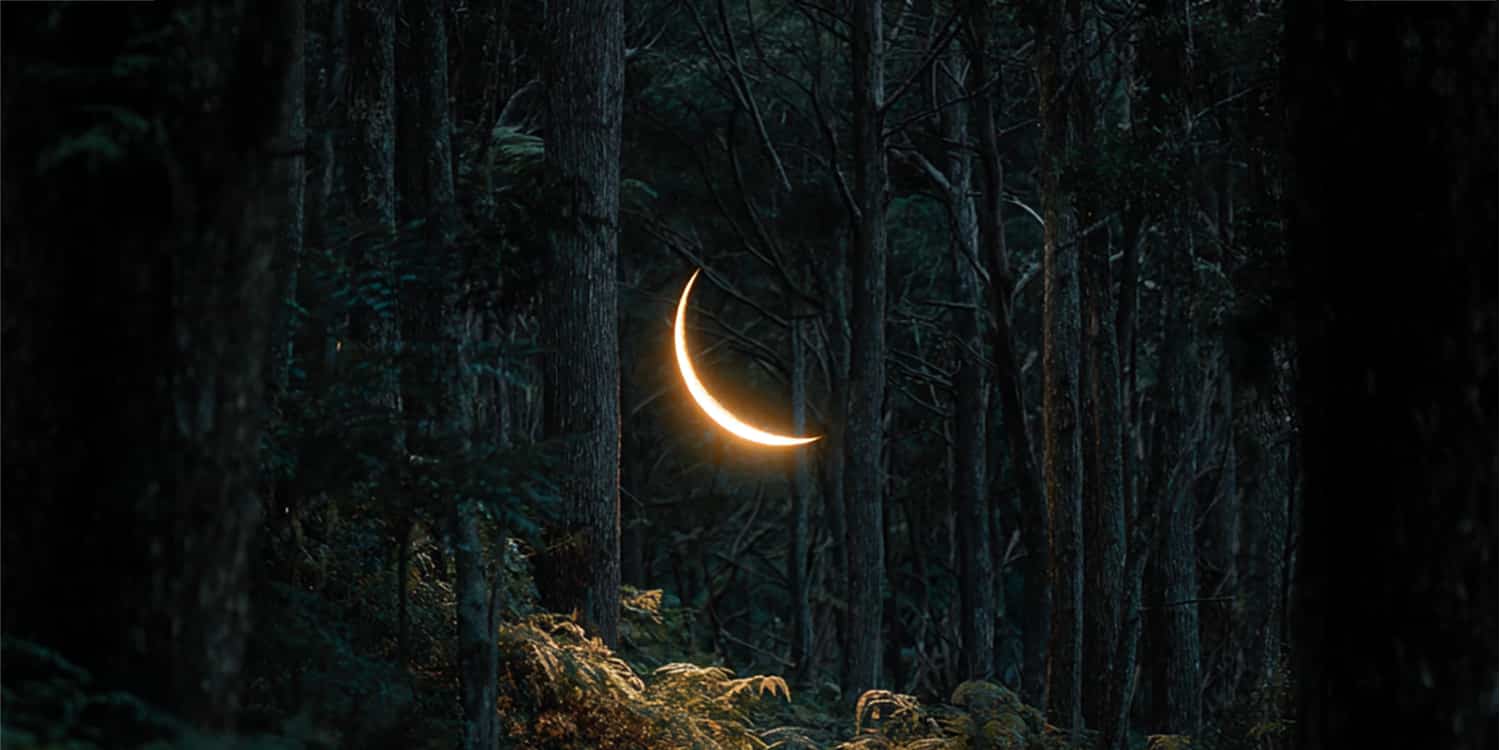 Horoscope du jeudi 20 novembre 2025