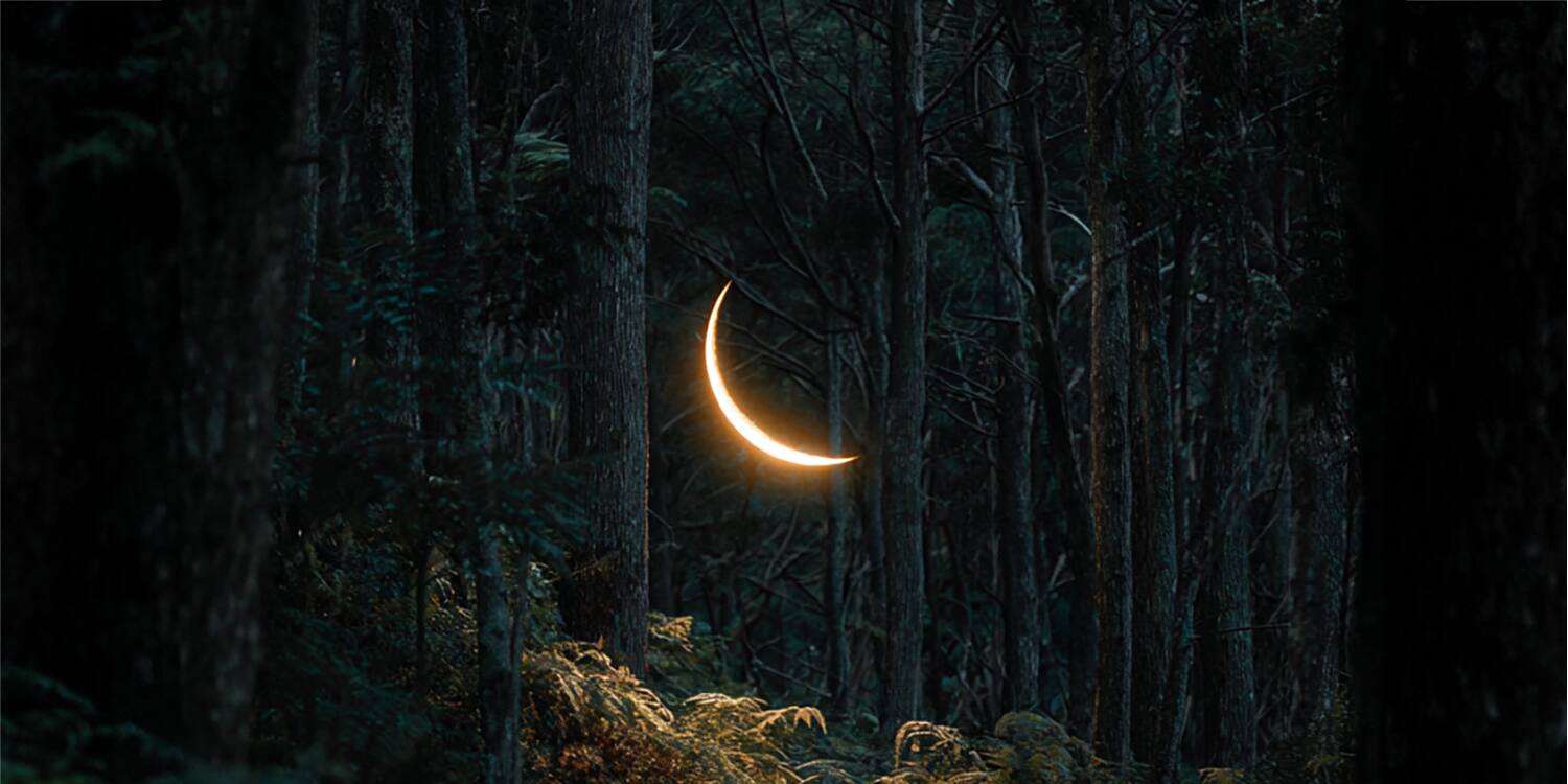 Horoscope du jeudi 20 novembre 2025