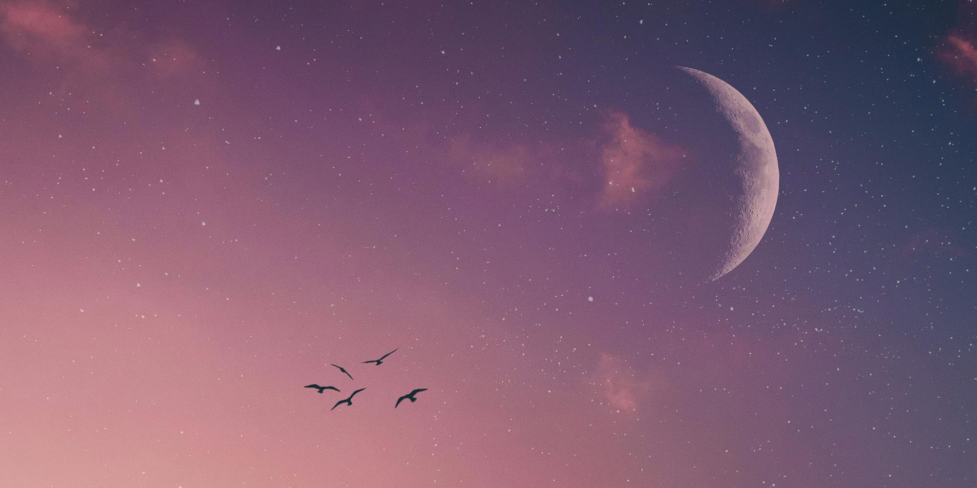 L'horoscope de la semaine du 3 juin 2024