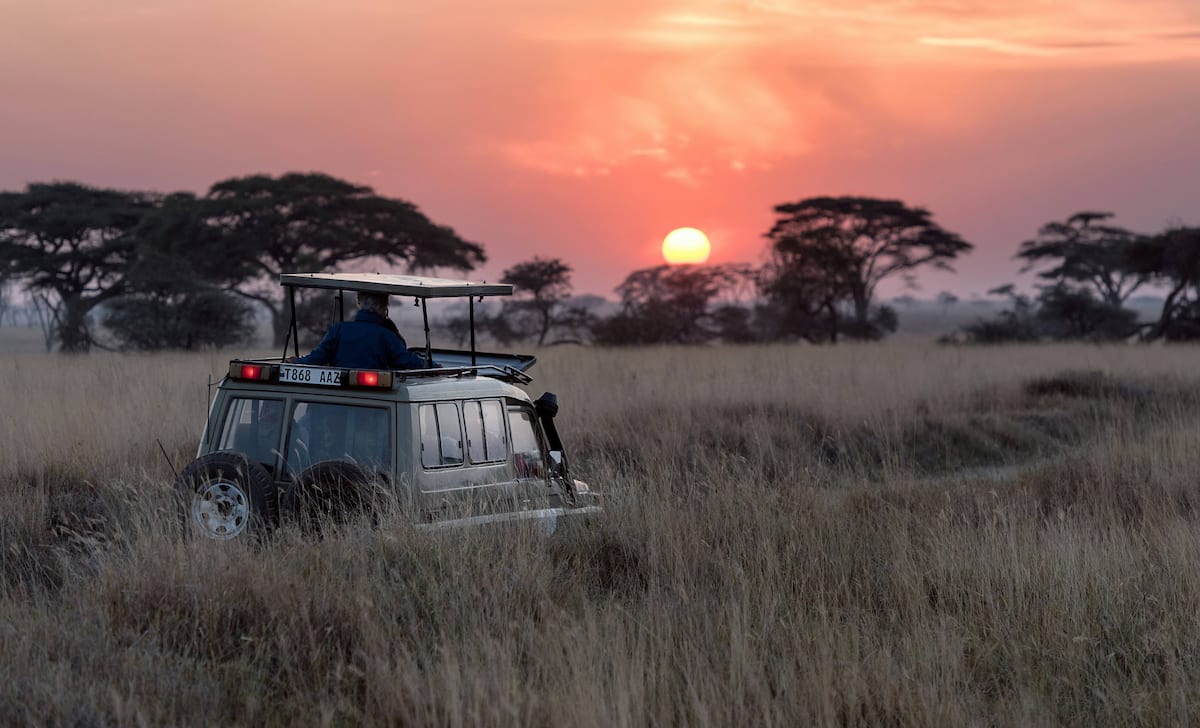 Voyage d’une vie: petit guide des safaris en Tanzanie