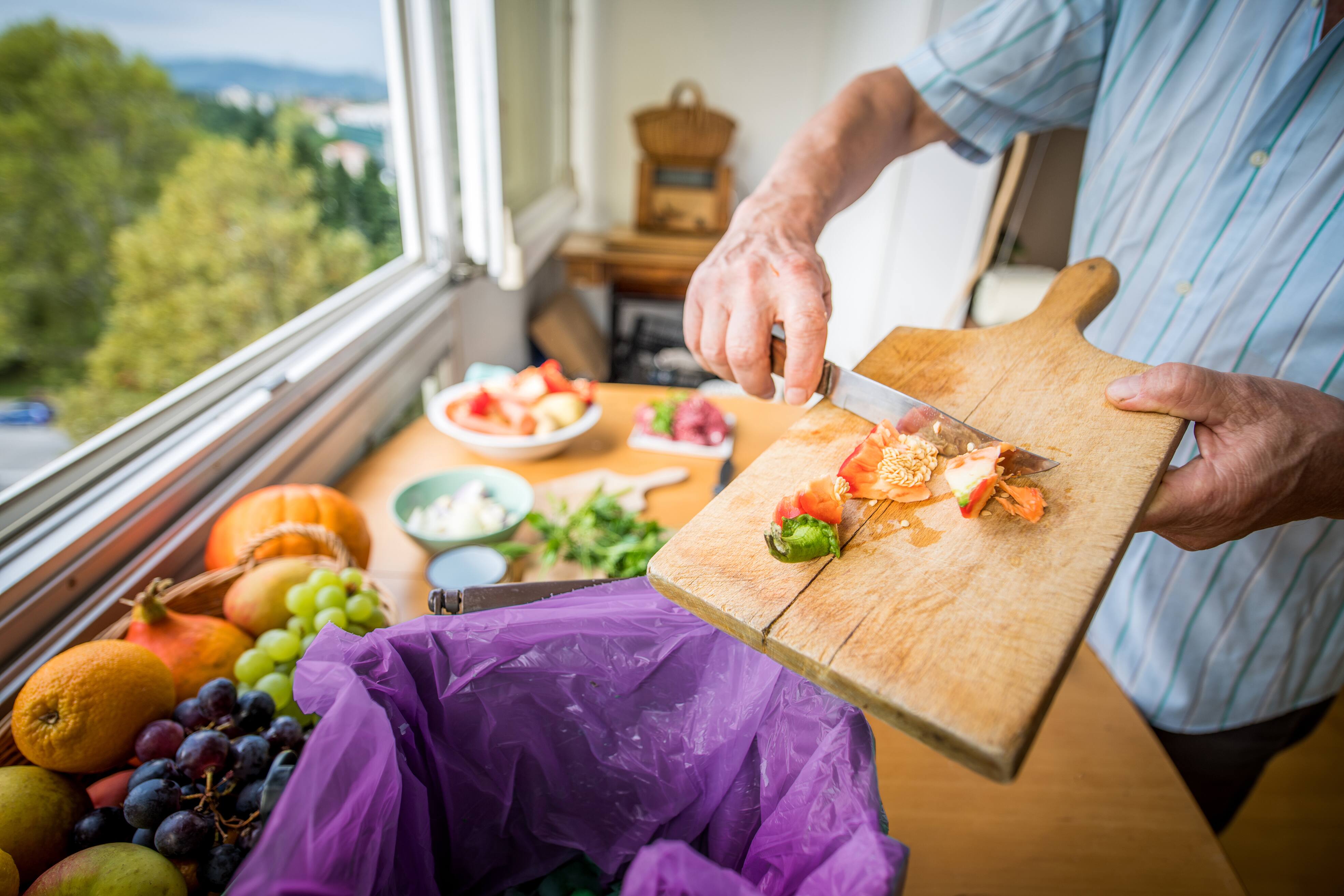 Ville de Québec la collecte des résidus alimentaires débutera cet
