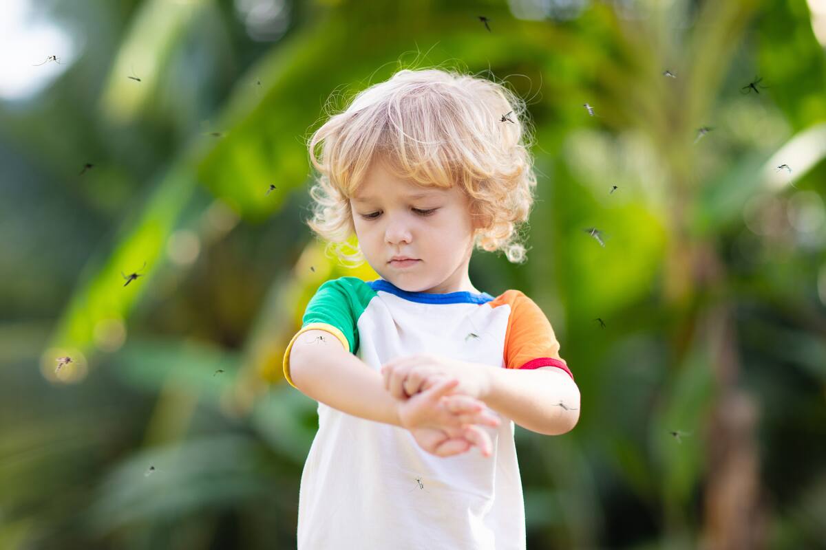 Piqures Et Morsures D Insectes Petit Guide Pour Les Prevenir Et Les Traiter Jdm Piqures Et Morsures D Insectes Petit Guide Pour Les Prevenir Et Les Traiter Jdm