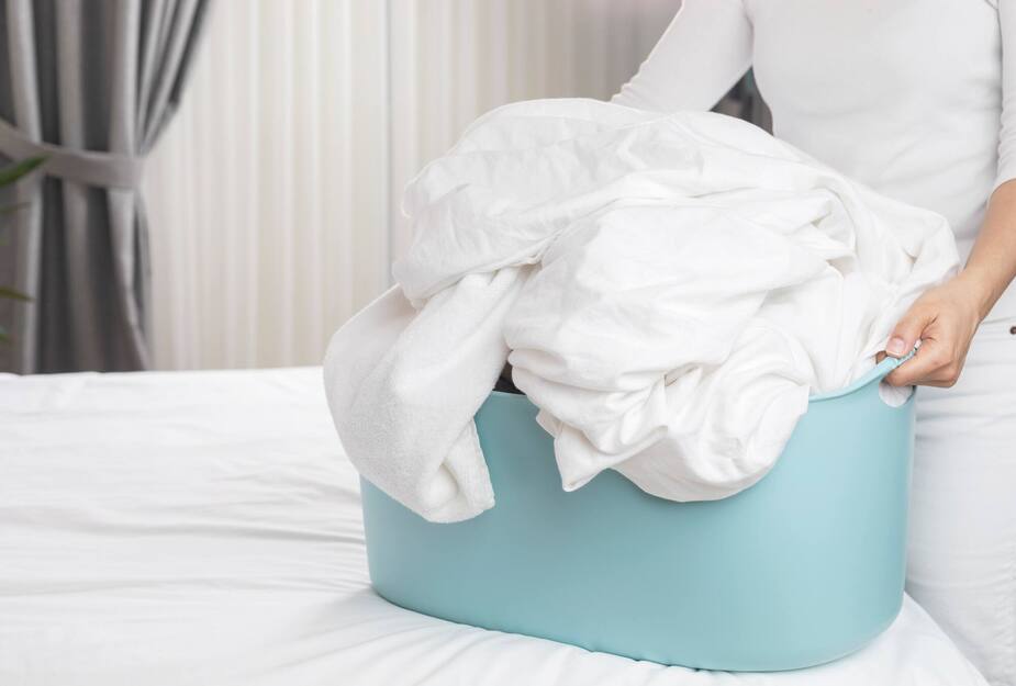 Image principale de l'article Est-on allergique aux acariens?