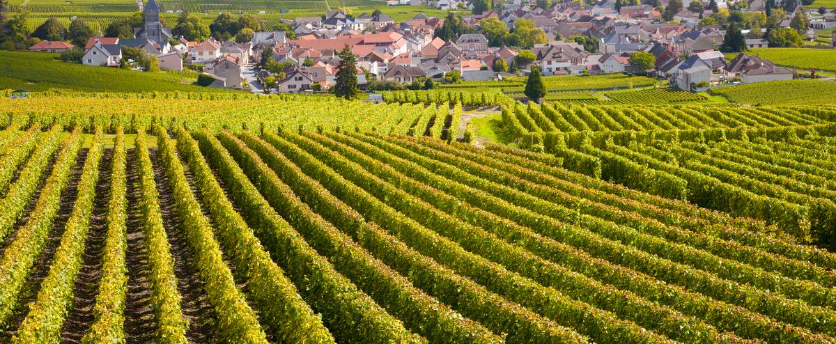 La Bourgogne démystifiée