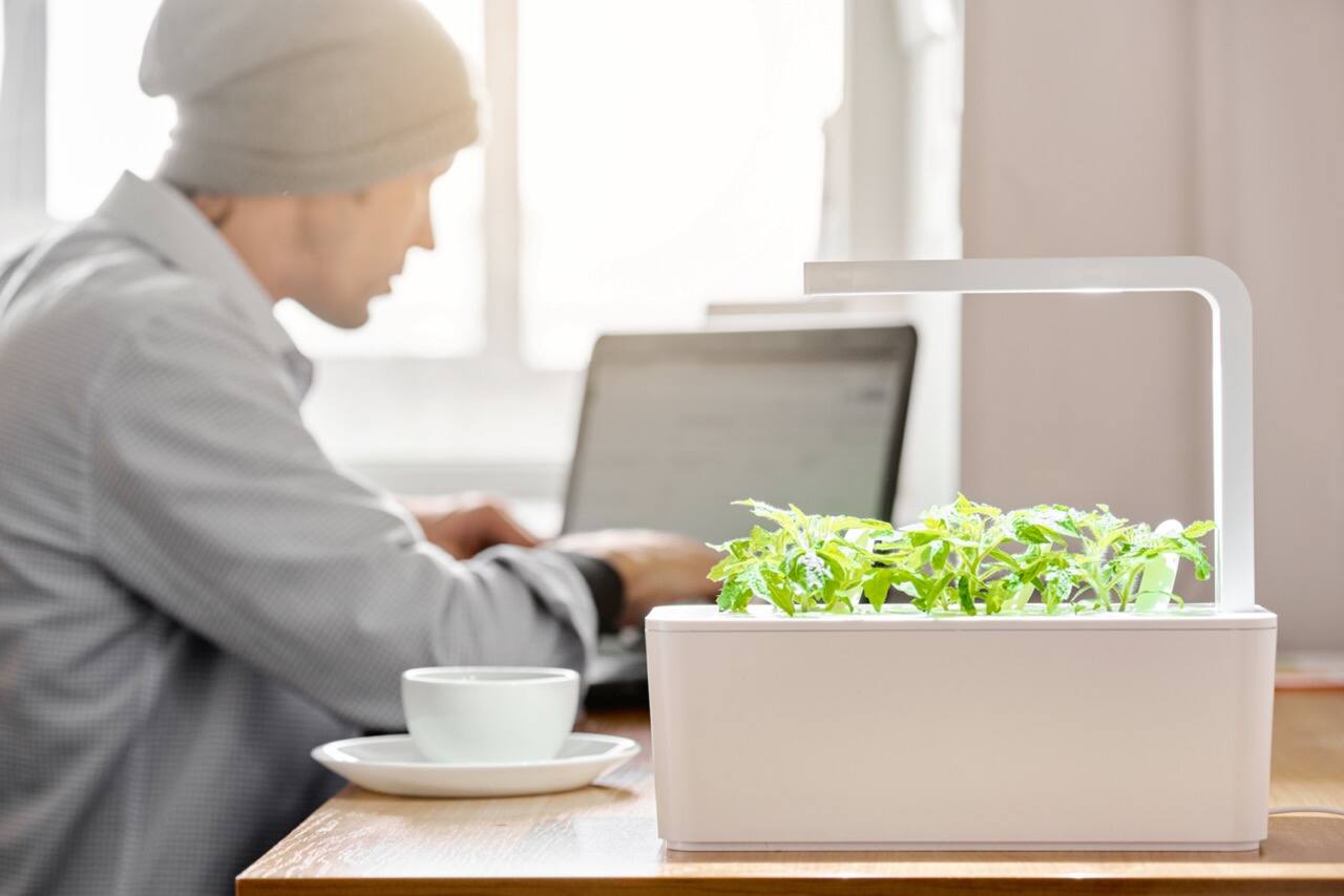 Image principale de l'article Trouvez une miniserre d'intérieur en rabais!
