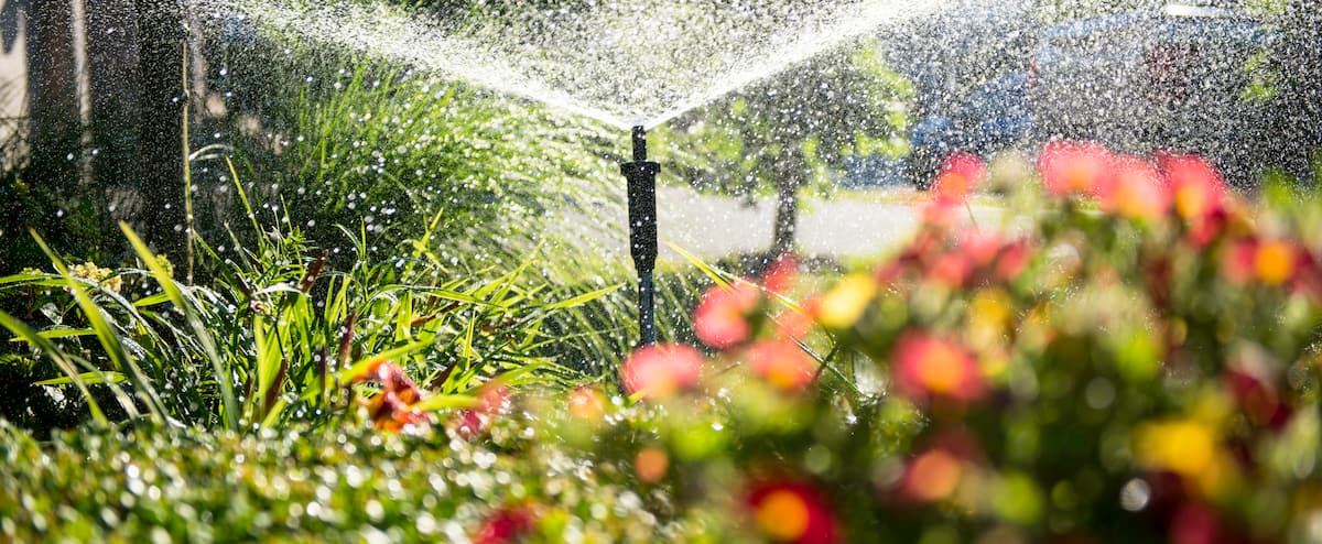 Comment réduire votre consommation d’eau sans négliger le gazon et les plantes dans la cour