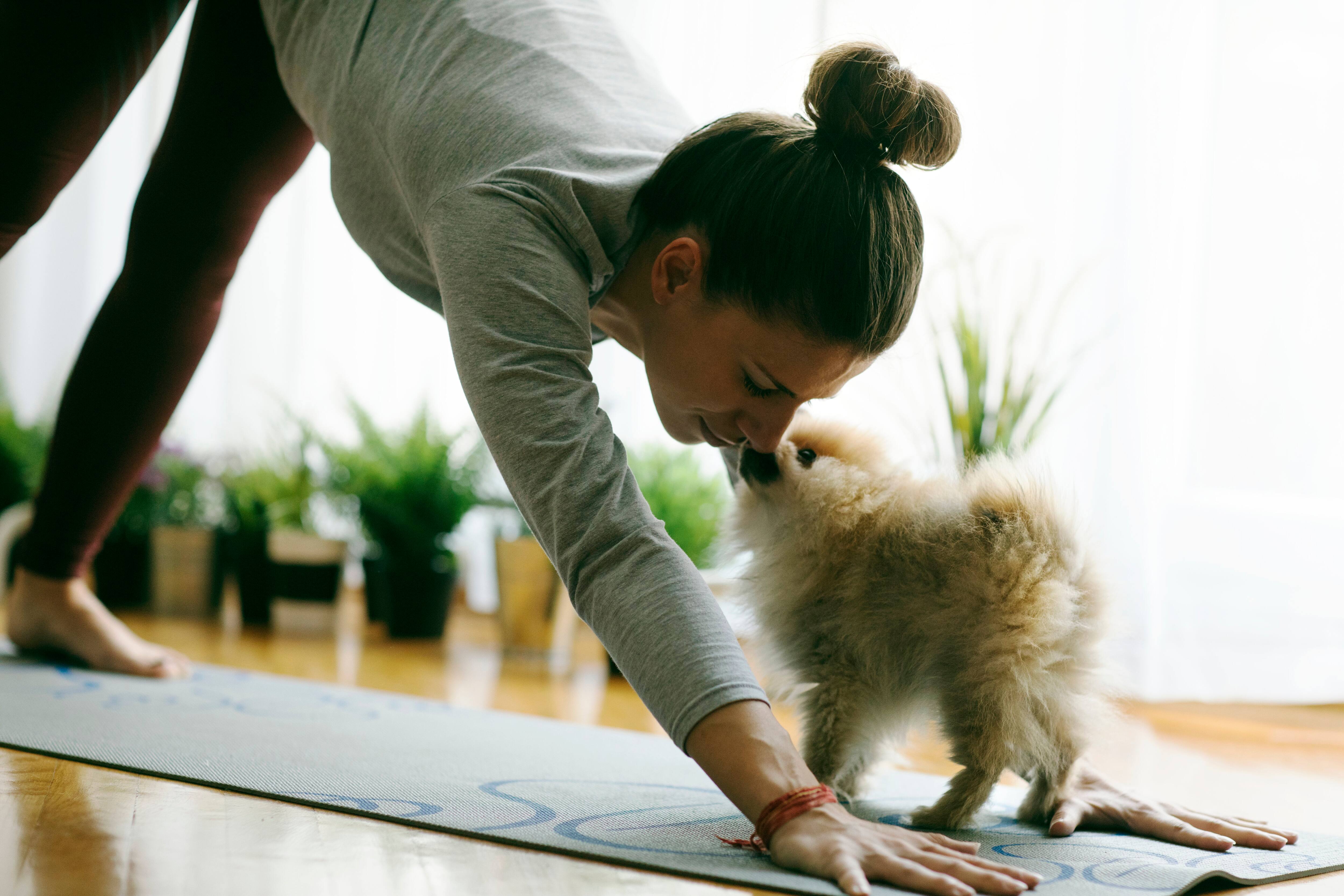 Image principale de l'article 5 activités inusitées à vivre avec les animaux