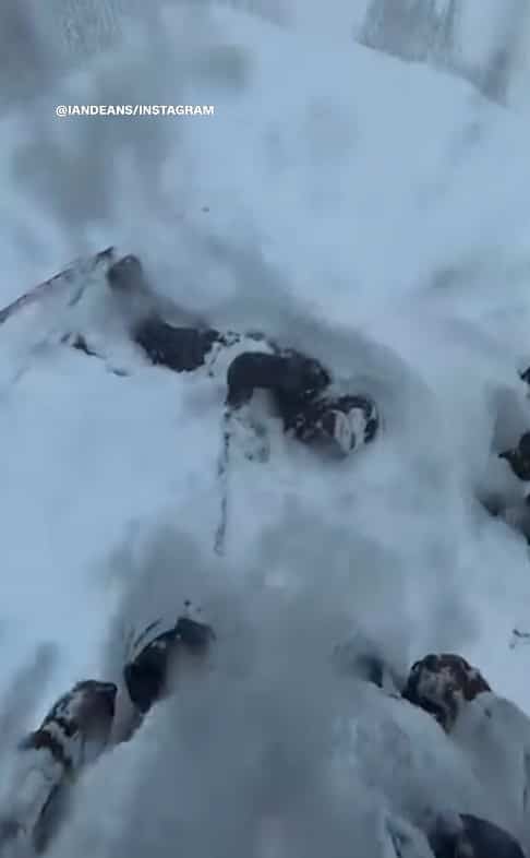 EN VID&Eacute;O | Un skieur pi&eacute;g&eacute; dans une &eacute;paisse couche de neige poudreuse