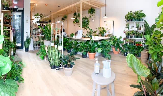 Une boutique pour les amateurs de plantes