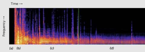 Nest Hub 2: la pantalla inteligente que quiere ayudarte a conciliar el sueño
