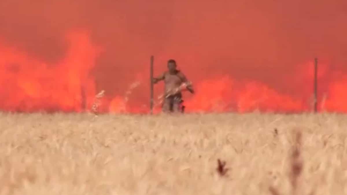 EN IMAGES | À deux doigts d'être brûlé vif dans un feu de forêt
