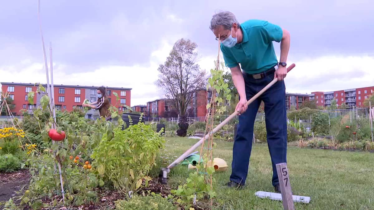 Schizophrénie : le jardinage à la rescousse