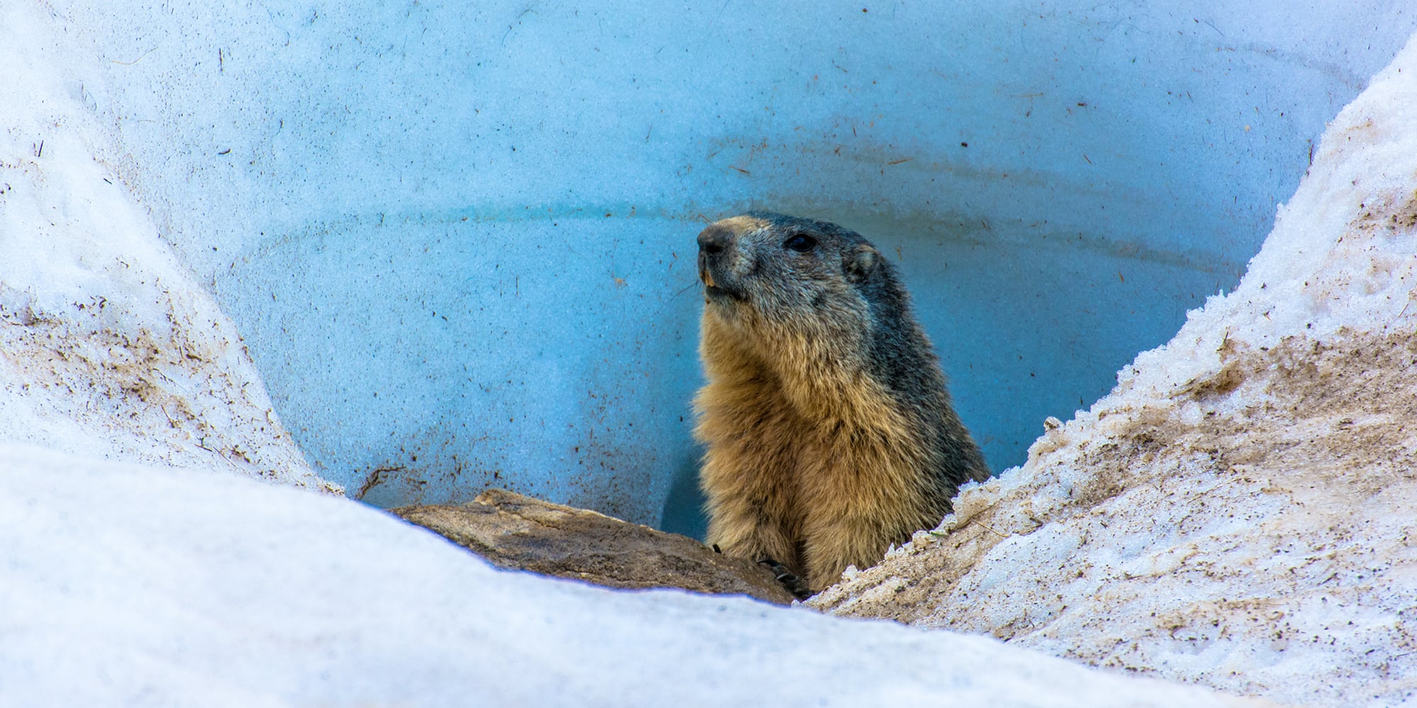 Voici la prédiction de Fred, de Gaspésie
