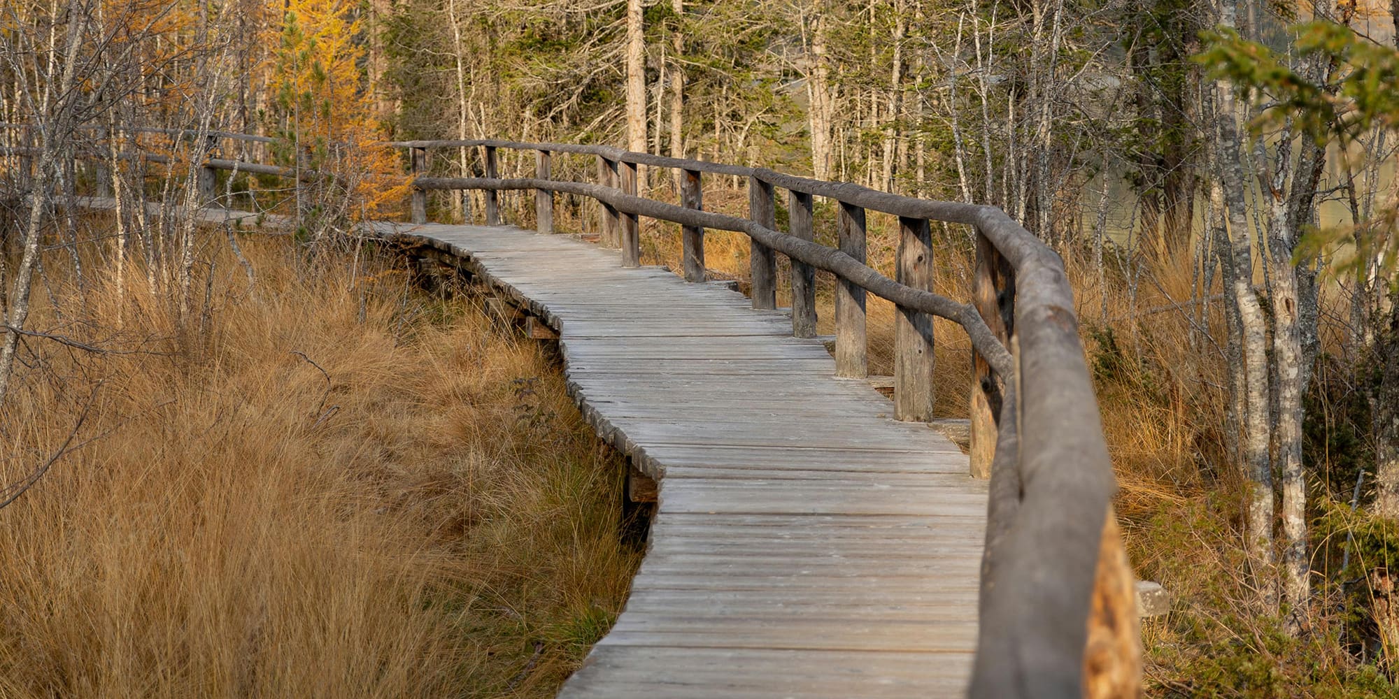 L'accès aux parcs de la Sépaq sera gratuit demain