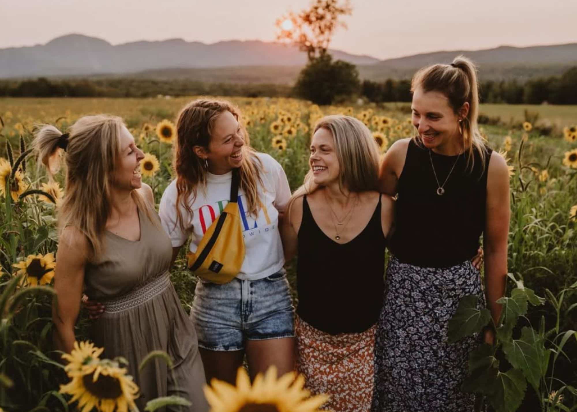 Voici où cueillir des tournesols