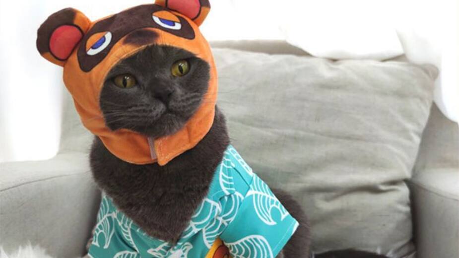Image principale de l'article Exprimez votre amour avec ce costume de Tom Nook