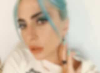 Des criminels ont volé ses chiens