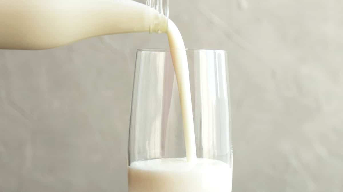 «Ça commence à être pas mal»: du lait à 6% bientôt sur les tablettes de votre épicerie?