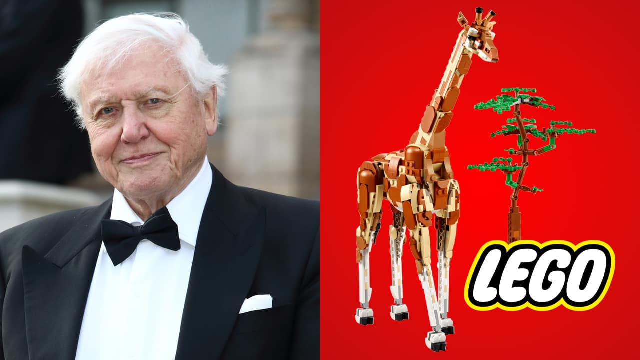 Image principale de l'article LEGO rend hommage à David Attenborough