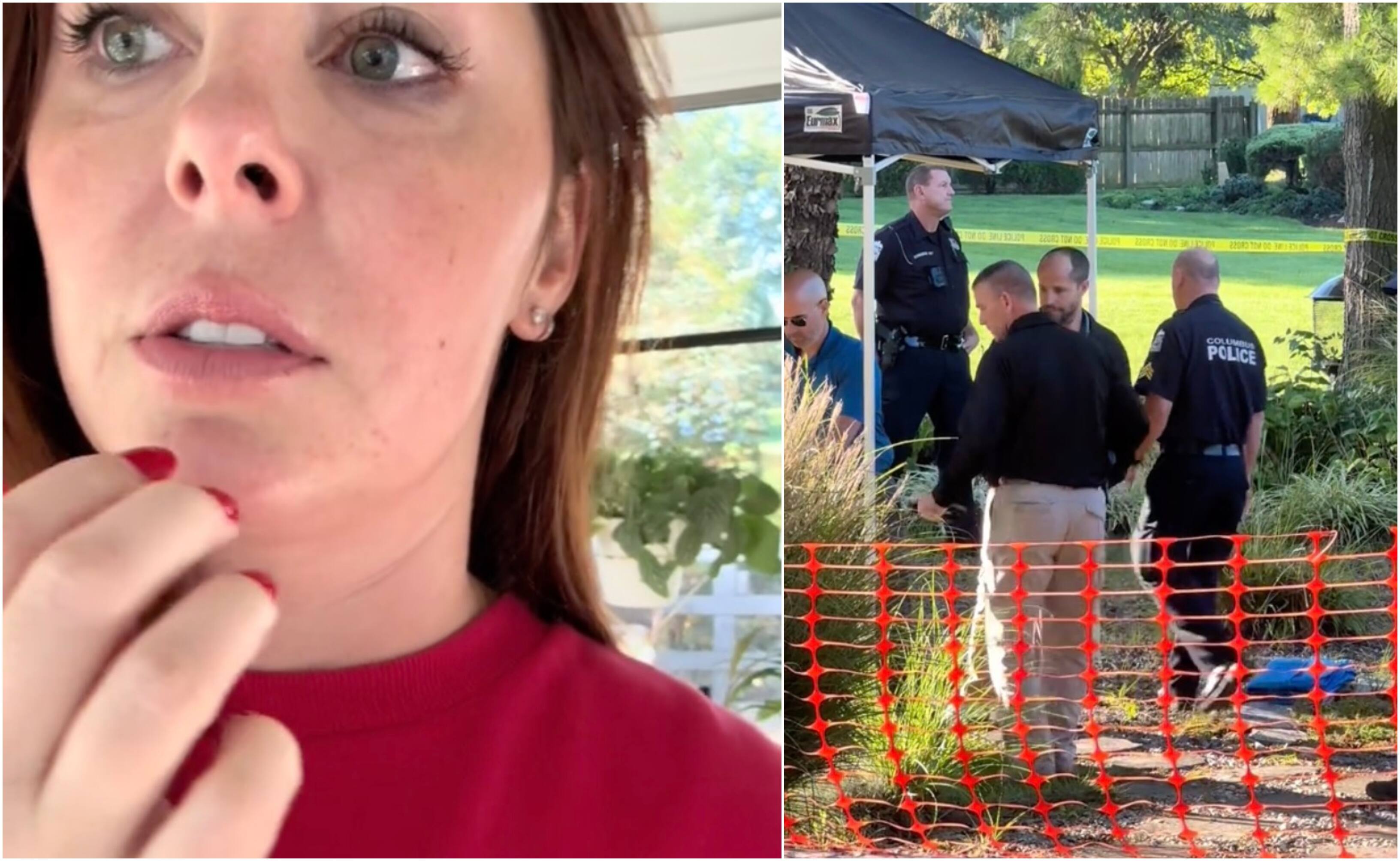 La découverte d'un tapis enterré mobilise TikTok