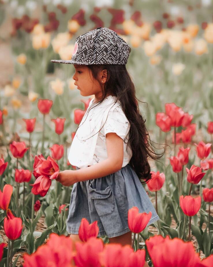 Image principale de l'article Des tulipes offertes au service au volant