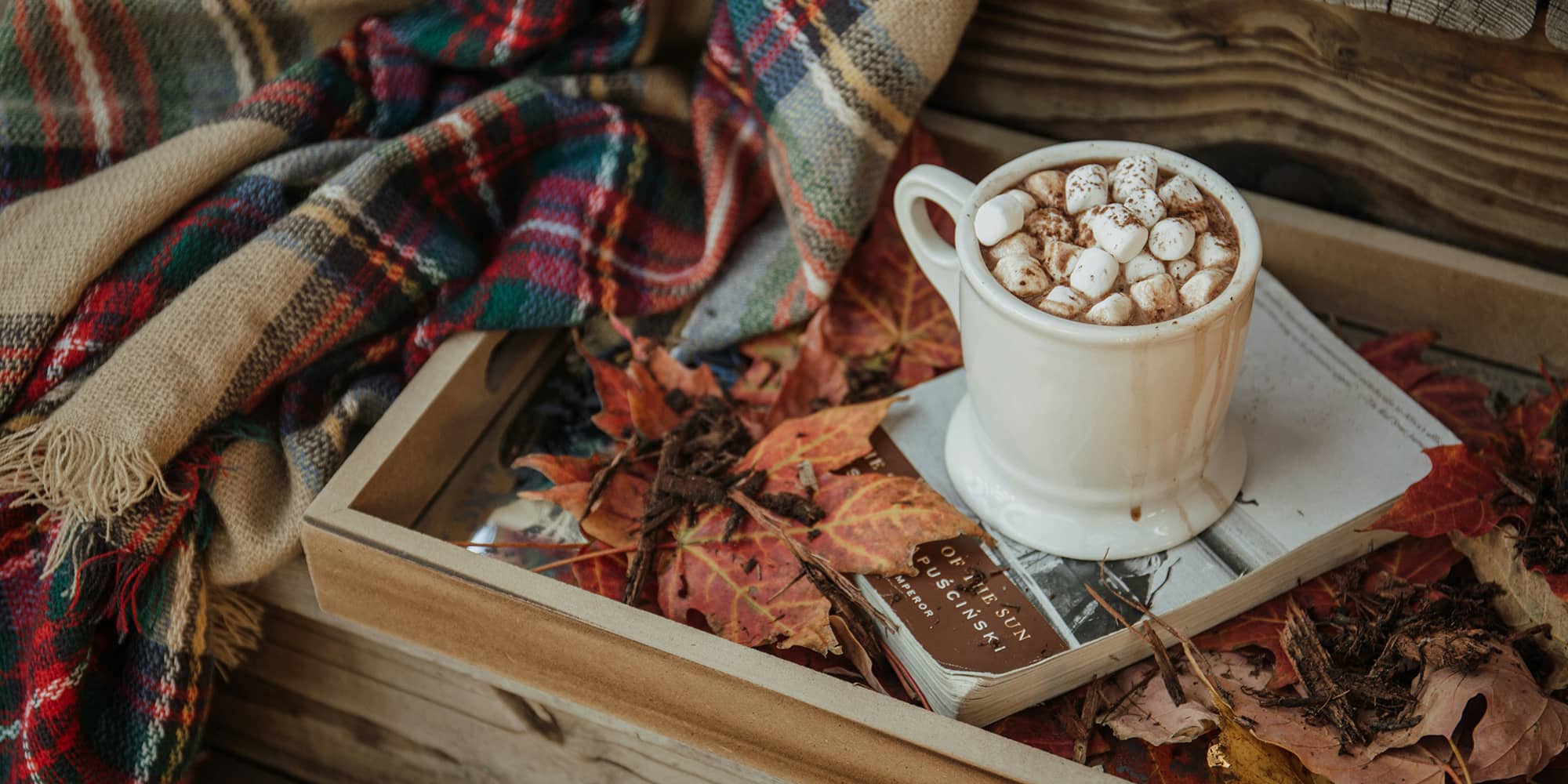 11 livres à dévorer pour vos lectures d'automne