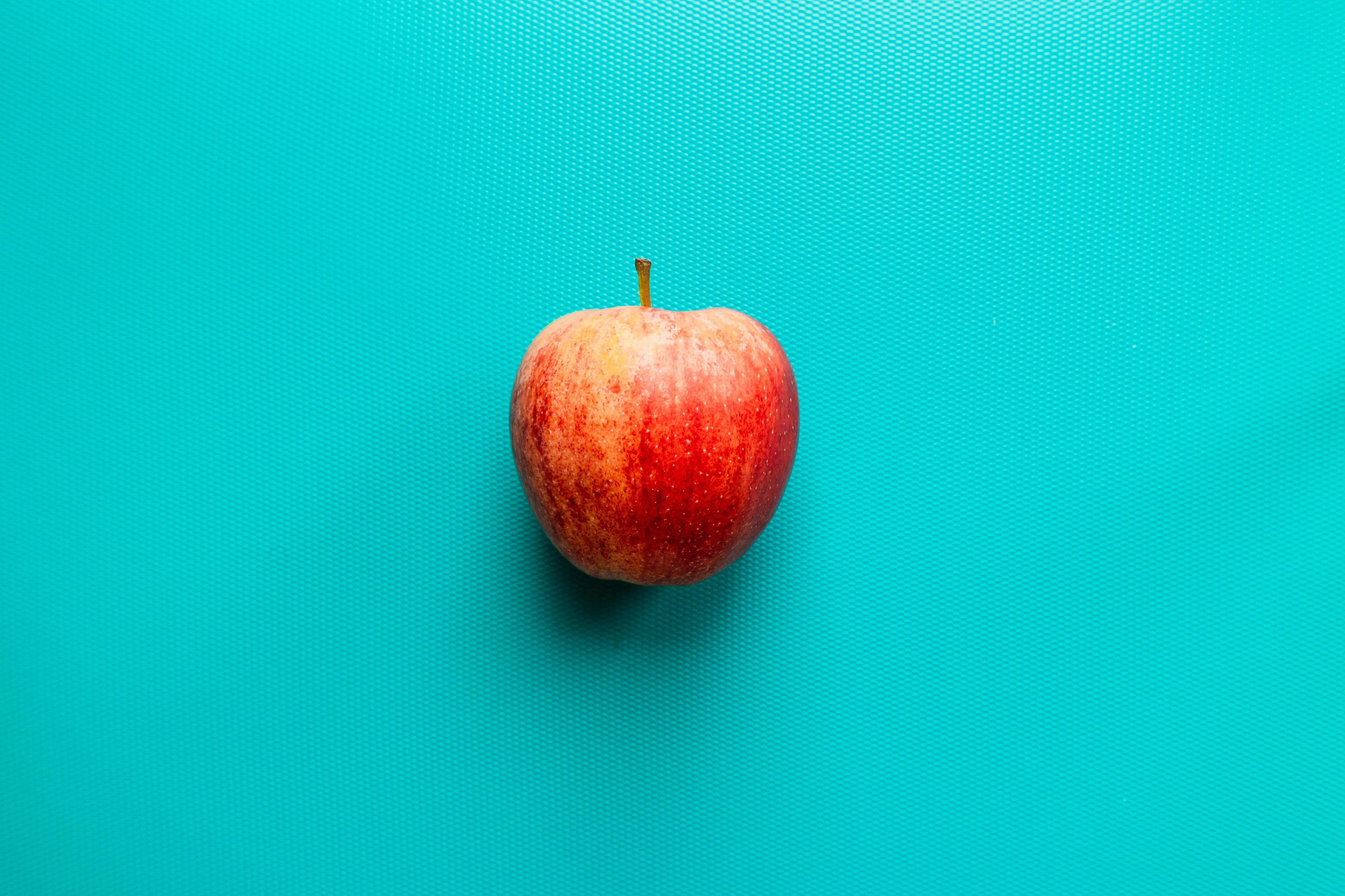 Elles racontent leur retour sur les bancs d’école
