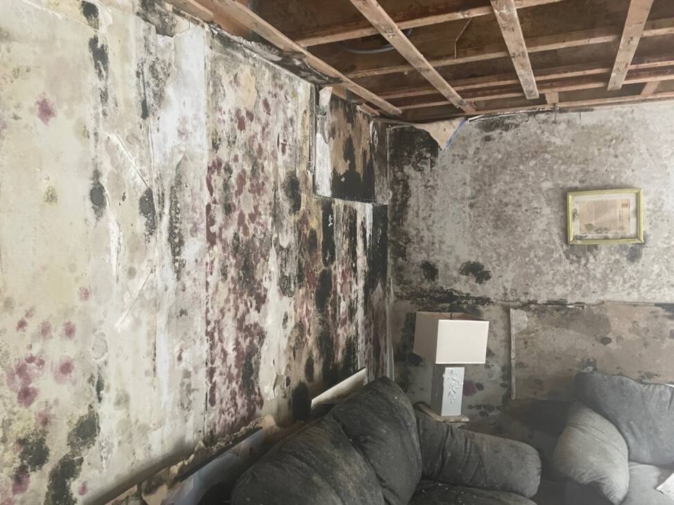 EN PHOTOS | Cette maison remplie de moisissures est &agrave; vendre pour 300 000$ &agrave; Gatineau