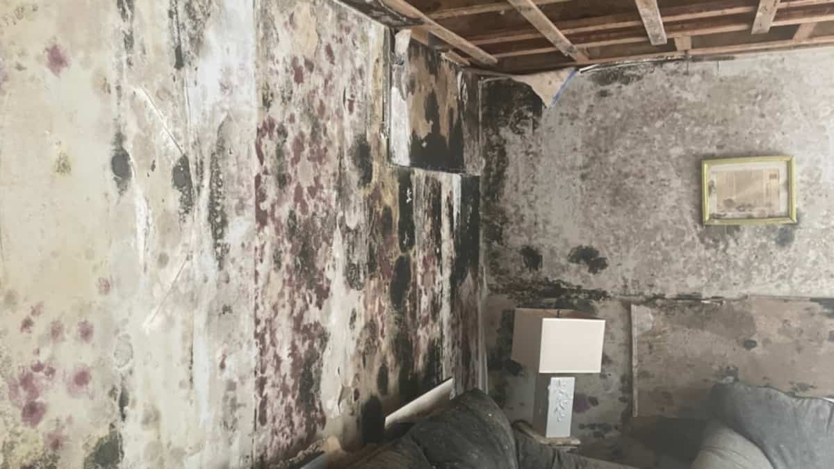 EN PHOTOS | Cette maison remplie de moisissures est à vendre pour 300 000$ à Gatineau