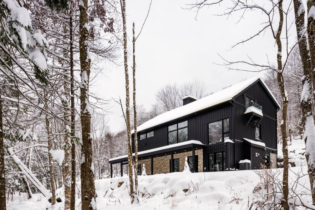 Une grande maison en pleine forêt à vendre