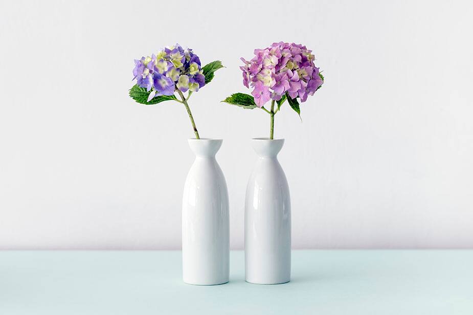Image principale de l'article 10 décors avec une touche pastel