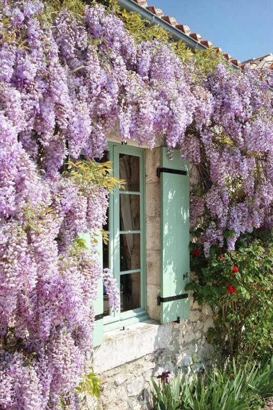 Maison fleurie sous le Soleil