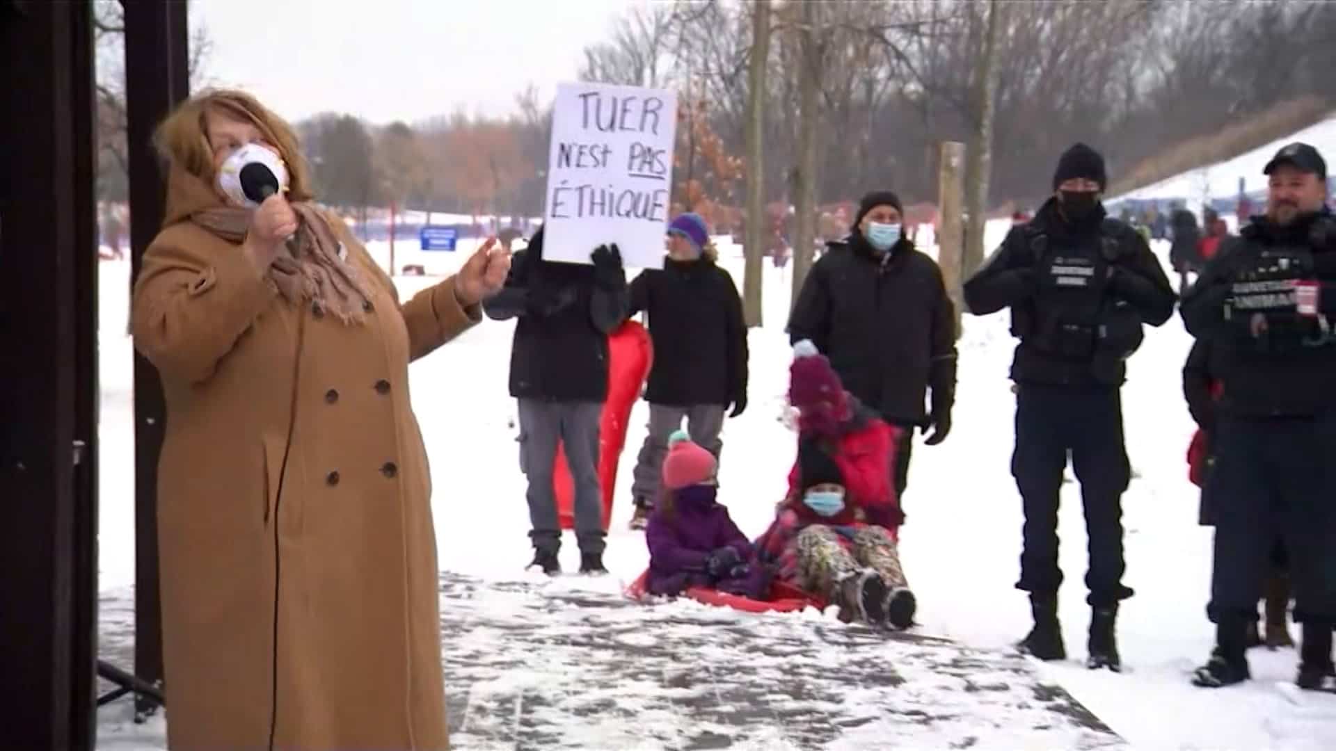Abattage des cerfs &agrave; Longueuil : une rencontre aura lieu mardi