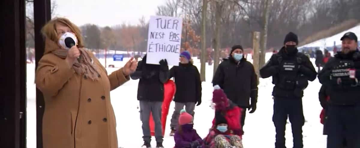 Abattage des cerfs à Longueuil : une rencontre aura lieu mardi