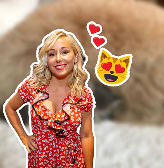 Mariloup Wolfe a un nouveau chaton