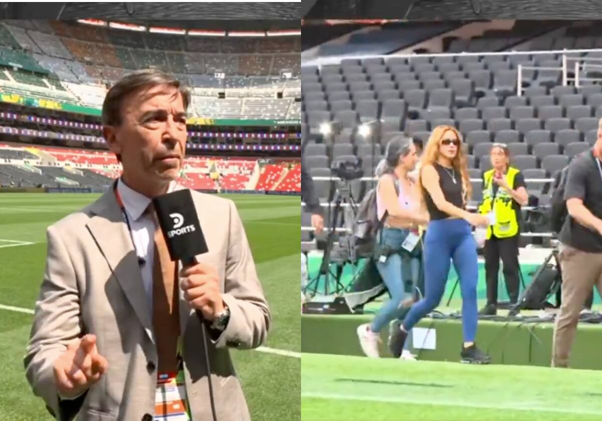 Reporter Abandons Live Broadcast to Take Selfie With Shakira