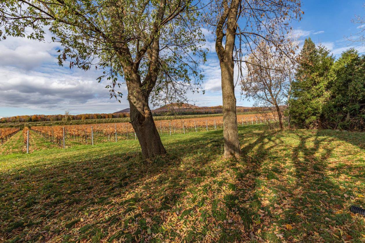 Une ancienne grange transformée en propriété d’exception à vendre à