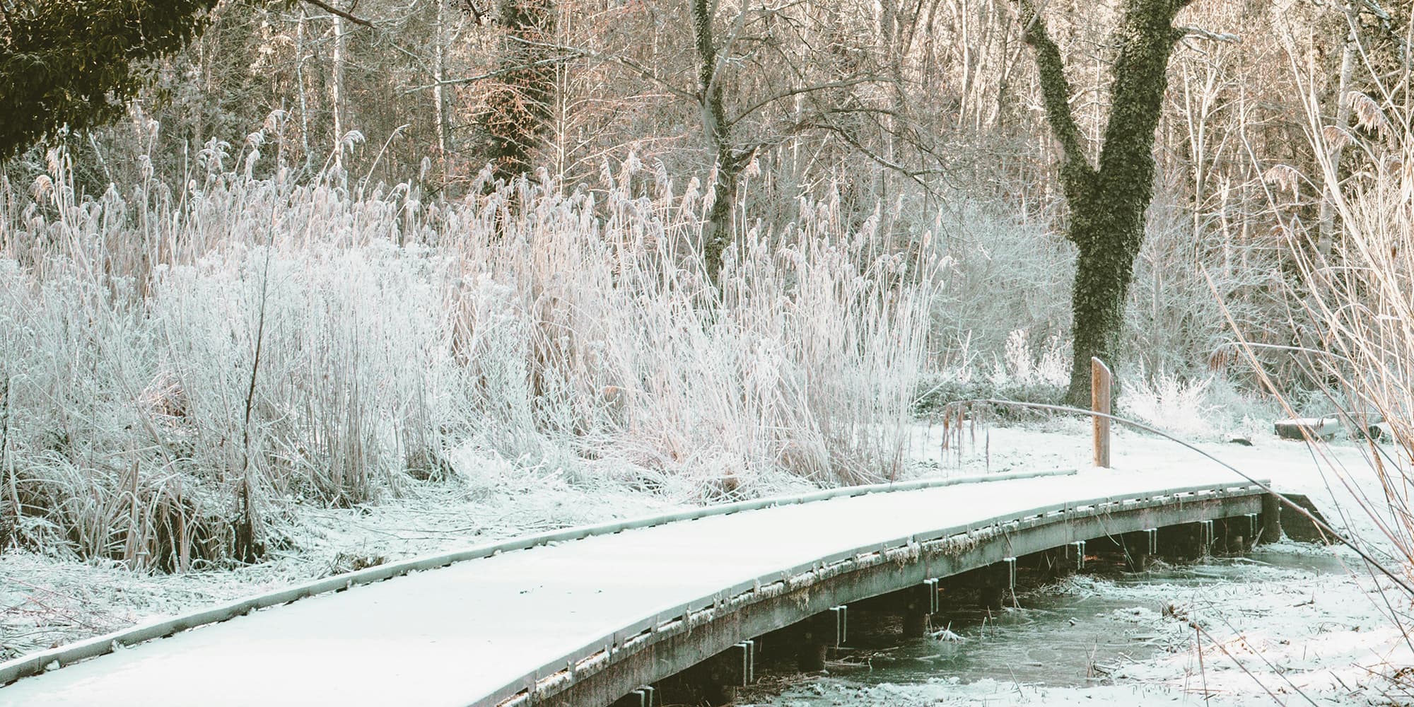 Les prévisions météo de mars 2025. au Québec
