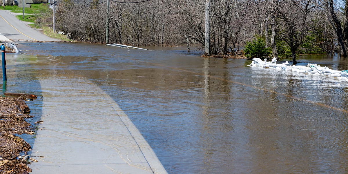 Les surprises que le mois de mars nous réserve 