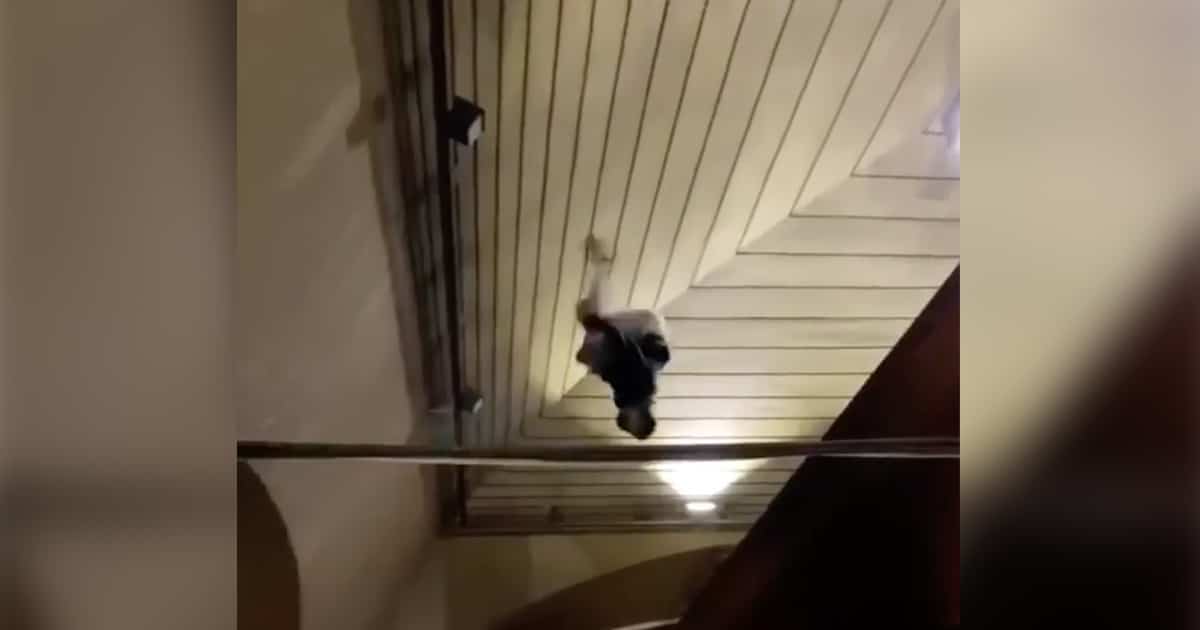 Il réussit un «backflip» sur un wagon du métro