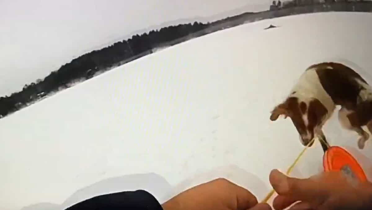 A policeman saves a man from icy water with the help of his dog A policeman saves a man from icy water with the help of his dog