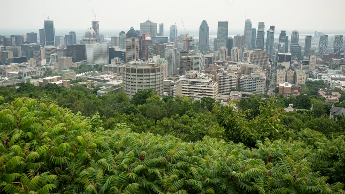 Crime organisé et vol de véhicules: la France avertit ses touristes à Montréal