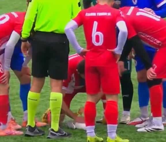 VID&Eacute;O | Assomm&eacute;e par un ballon: une mouette r&eacute;anim&eacute;e par un massage cardiaque sur un terrain de football