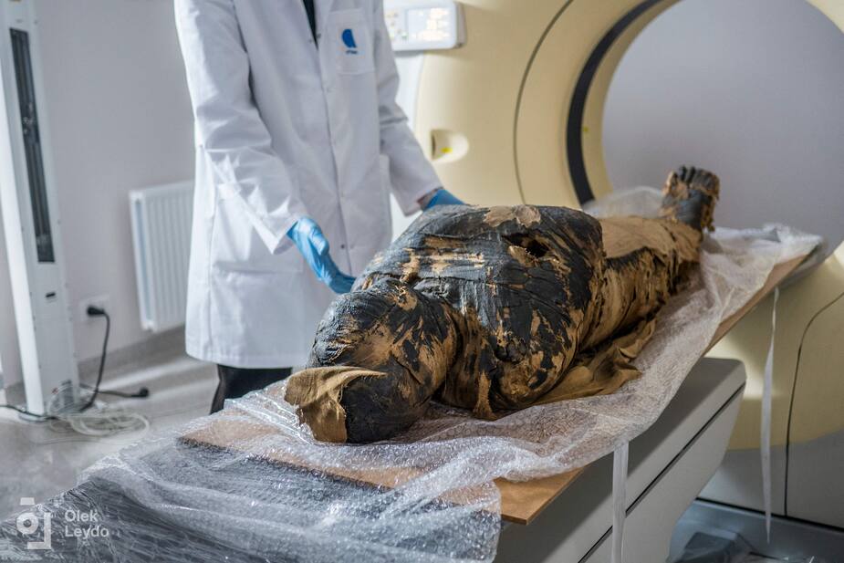 Image principale de l'article Une première momie égyptienne enceinte découverte